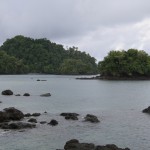 Coiba22