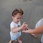 Farallon06