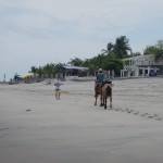 Farallon10