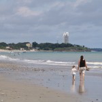 Farallon15