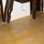Lagartero09