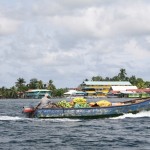Bocas11