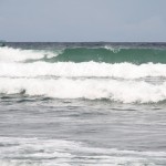 Bocas50