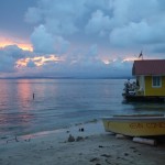 Bocas56