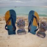 dominicus32