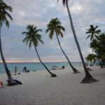 dominicus36