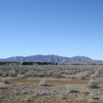 Pahrump29