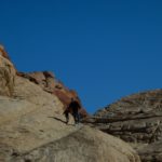 RedRock16