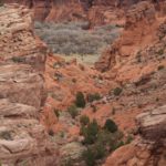 ChellyCanyon01