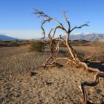 DeathValley28