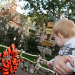 Disneyland45