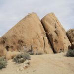 JoshuaTree05