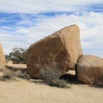 JoshuaTree06