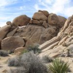 JoshuaTree08