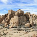 JoshuaTree09