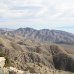JoshuaTree21