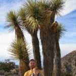 JoshuaTree31