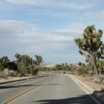 JoshuaTree37