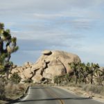 JoshuaTree44