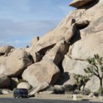JoshuaTree45