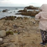 Monterey13