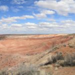 PetrifiedForest04