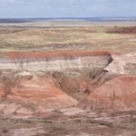 PetrifiedForest06