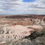 PetrifiedForest10