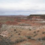 PetrifiedForest11