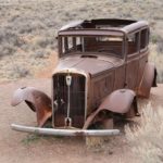 PetrifiedForest13
