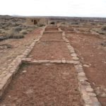 PetrifiedForest16
