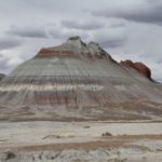 PetrifiedForest18