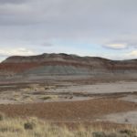 PetrifiedForest19
