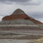 PetrifiedForest20