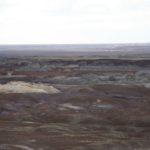 PetrifiedForest26