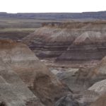 PetrifiedForest27