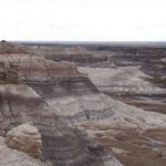 PetrifiedForest28
