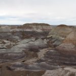 PetrifiedForest31