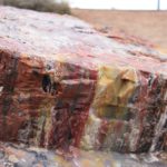 PetrifiedForest36