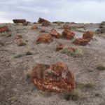 PetrifiedForest39