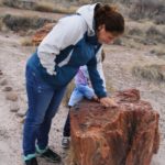 PetrifiedForest40
