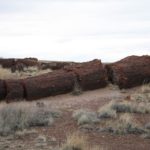 PetrifiedForest42