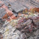 PetrifiedForest44