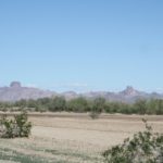 Prescott02