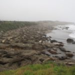SanSimeon10