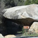 Sequoia08
