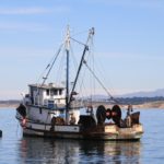 WhaleWatching02