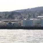 WhaleWatching15