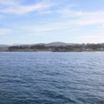 WhaleWatching19
