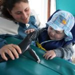 WhaleWatching37